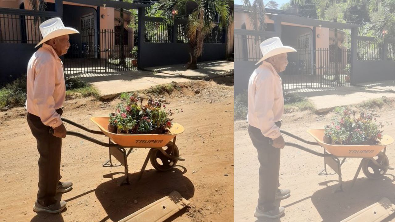 'Miserables', roban a abuelito hondureño el dinero de la venta de flores