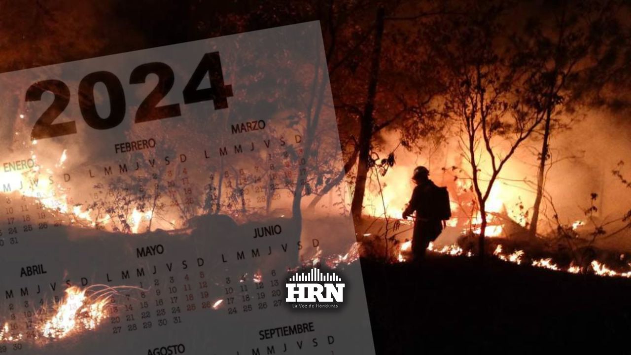 ICF indica que se mantiene la cifra de incendios forestales en lo que va de 2024