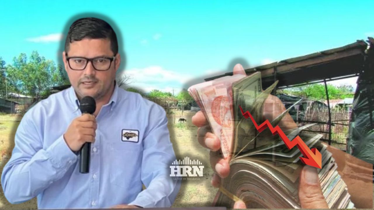 Invasiones de tierras han derivado en cierre de empresas y pérdida de empleos, lamenta Cohep
