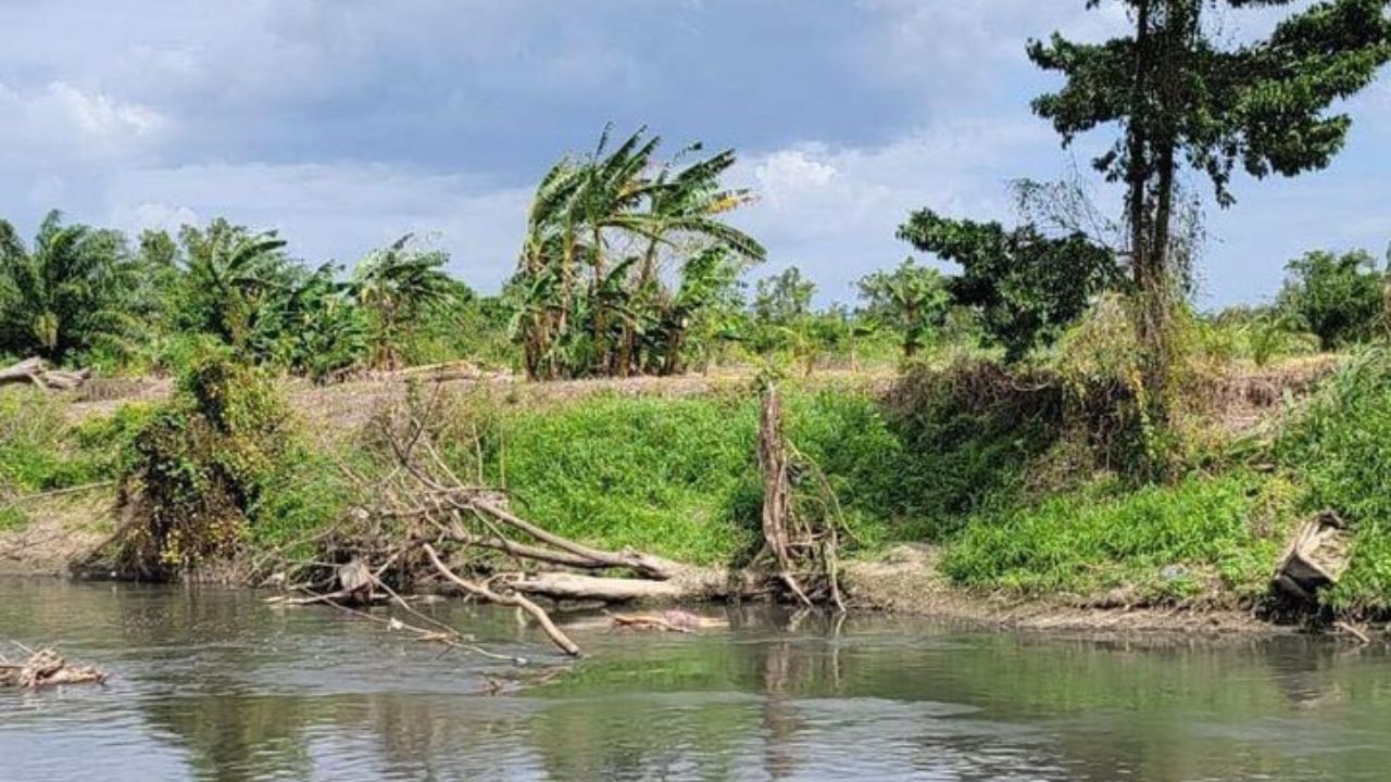 Hallan muerta a mujer a la orilla de un río en Cortés