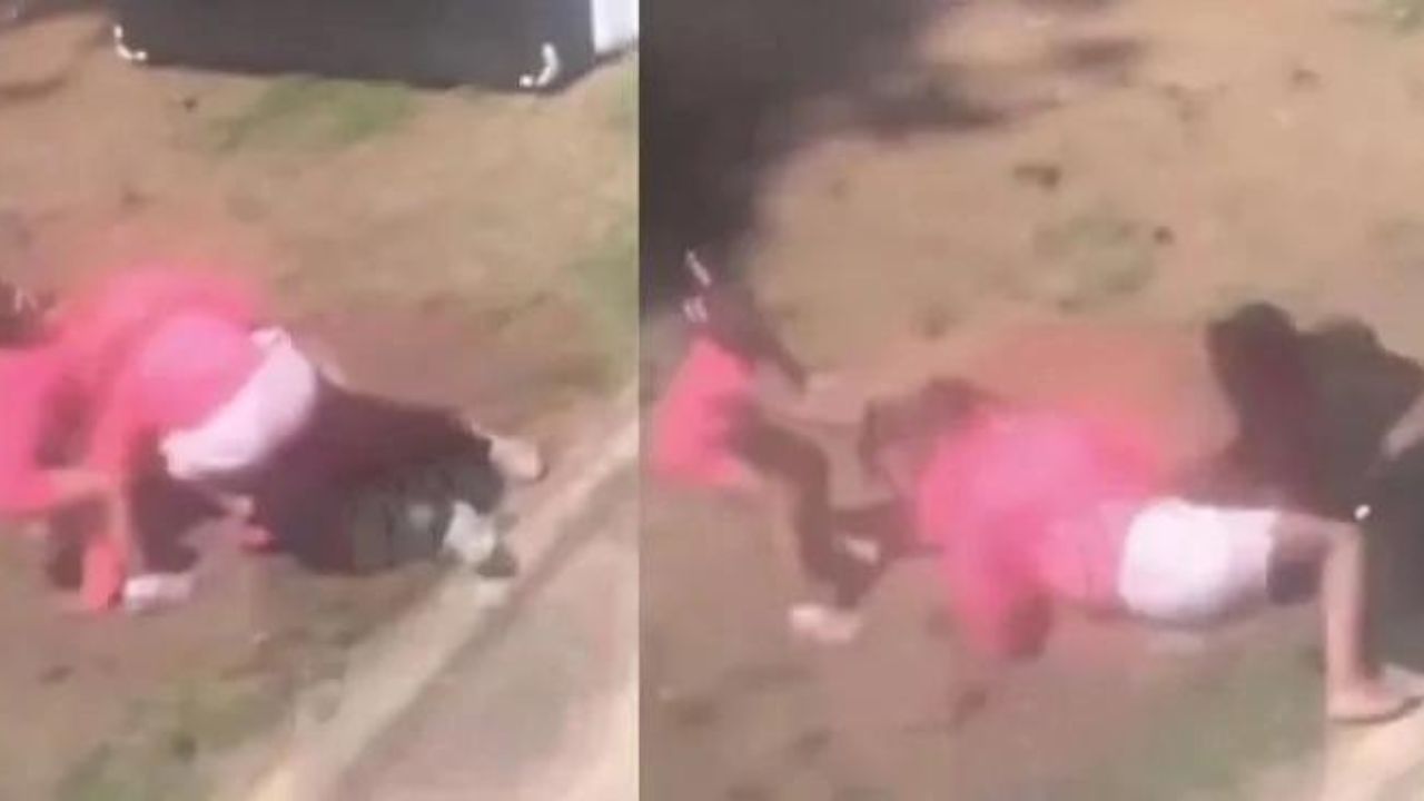 VIDEO: niña se arriesgó por defender a su madre en pelea callejera