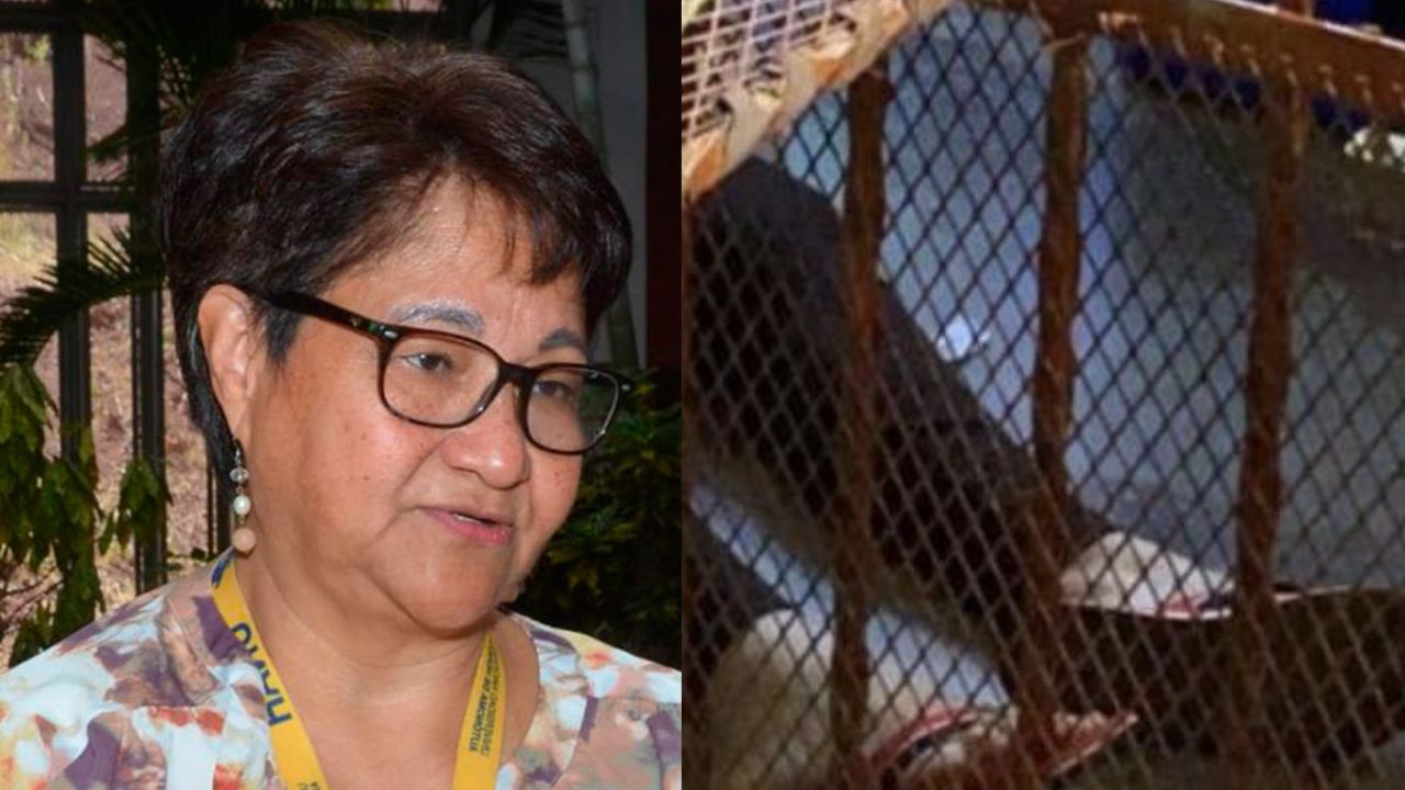 'Aumenta la violencia contra mujeres en destinos turísticos de Honduras': Migdonia Ayestas