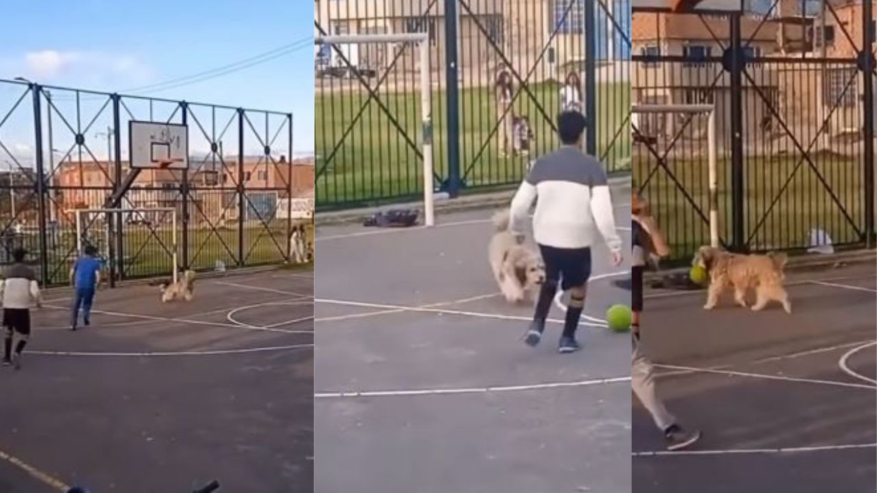 ‘Porterazo’, faltaba un jugador y metieron al perro de portero