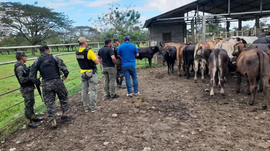 Imagen de cuerpo de nota