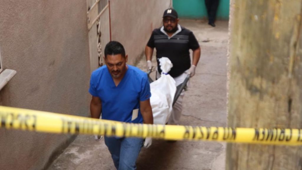 Imagen de cuerpo de nota