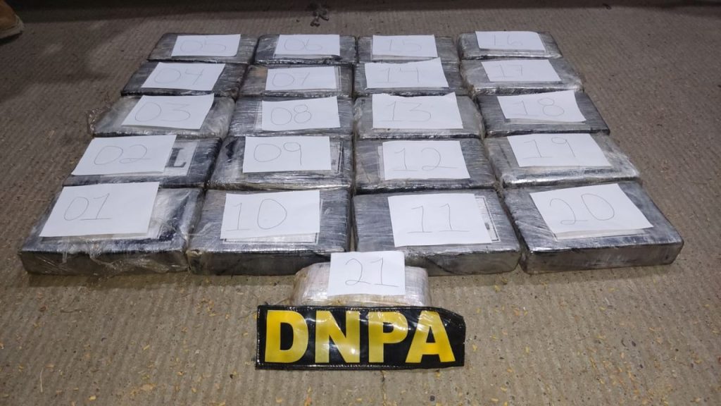 Imagen de cuerpo de nota