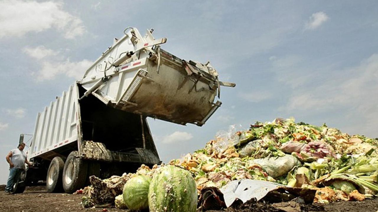 ONU: Más de 1.050 millones de toneladas de alimentos fueron desperdiciadas en 2022
