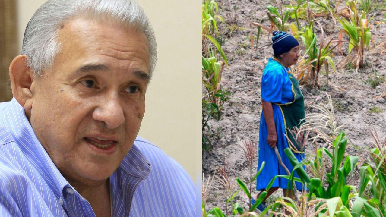 Analista alerta sobre inminente crisis alimentaria en Honduras por falta de planificación