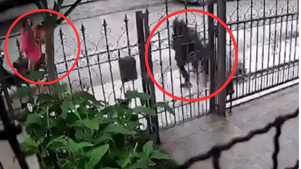 VIDEO: Se hizo pasar por delivery para asaltar, embarazada le ayudó