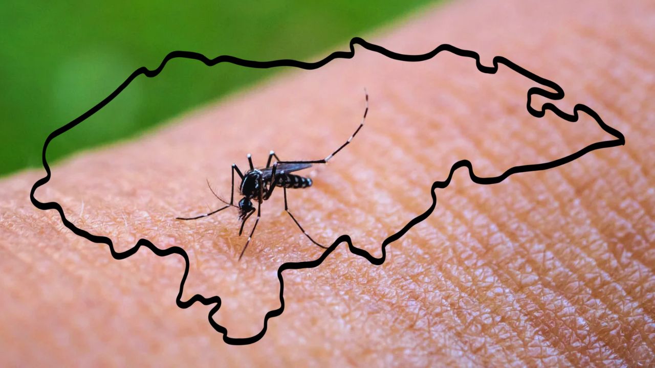 Aumento de casos de dengue en Honduras enciende las alarmas