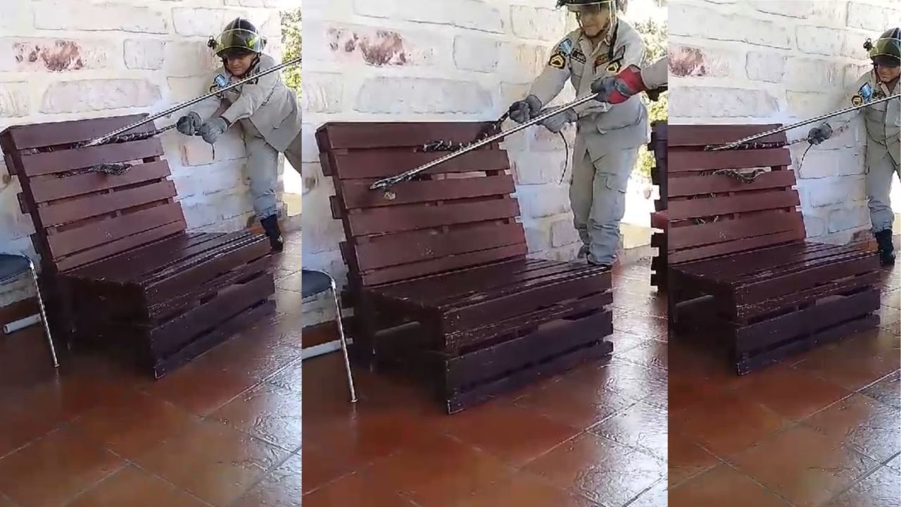 VIDEO: Hondureña encuentra una enorme serpiente en una de las sillas de su casa