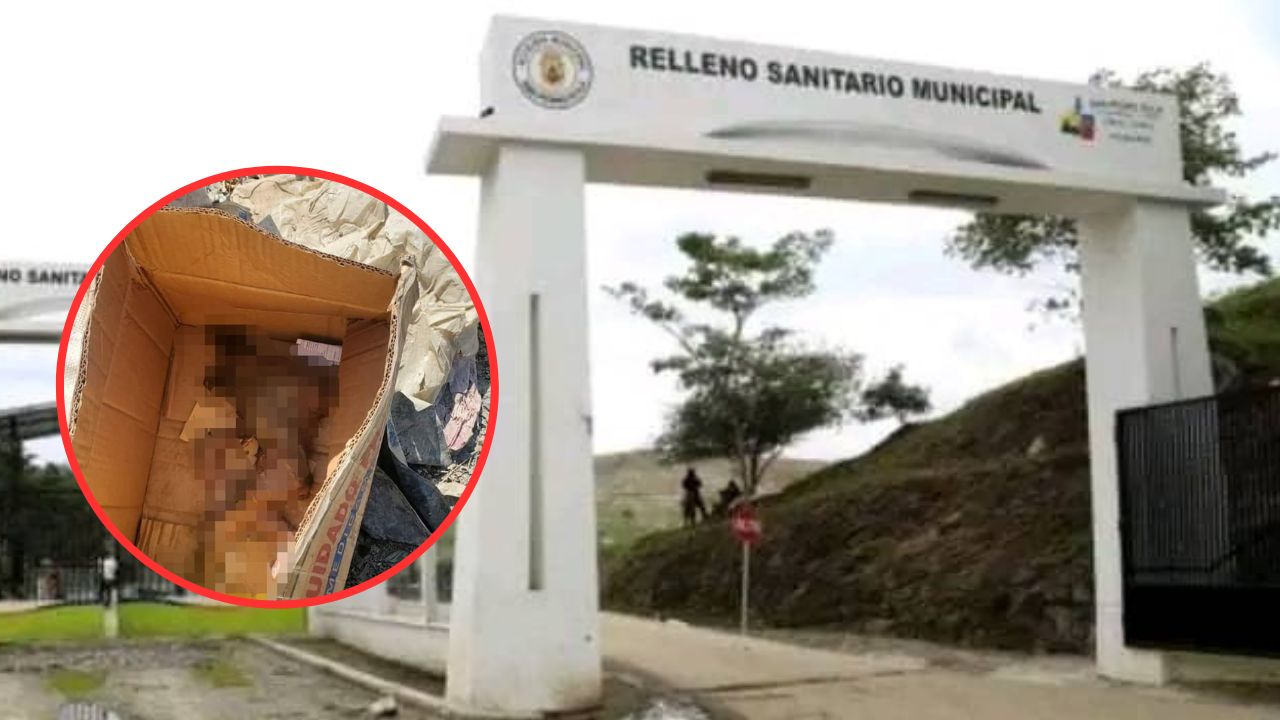 Imagen sensible: hallan feto de un bebé dentro de una caja de cartón en SPS