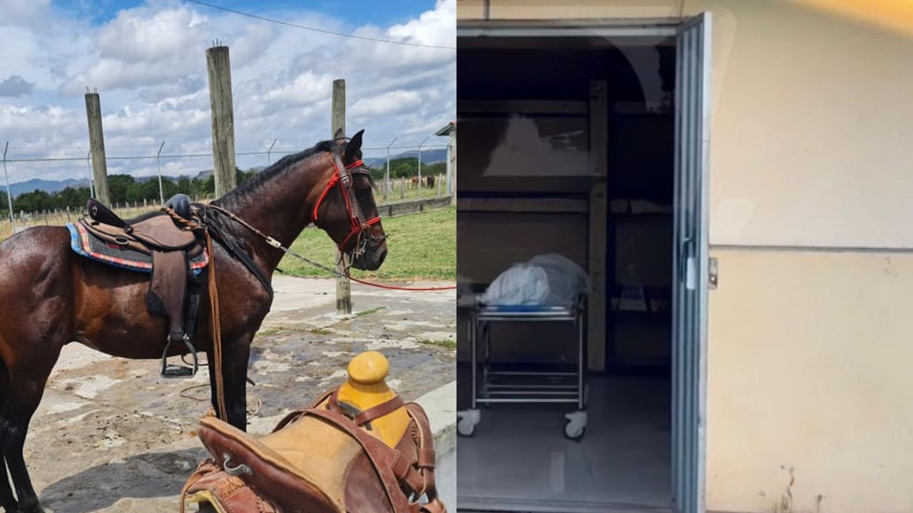 Imagen de Olanchano murió tras caer de un caballo; andaba bajo los efectos del alcohol