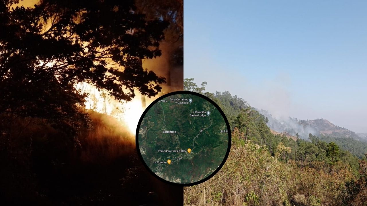 Unas 300 hectáreas de bosque han sido destruidas por incendio en La Tigra