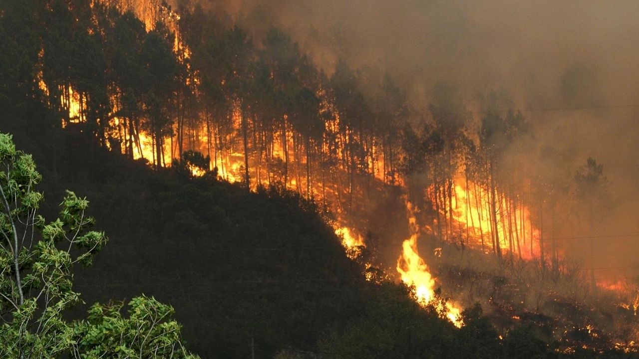 Gracias a Dios y Francisco Morazán, representan el 60% de hectáreas de bosque arrasadas por incendios