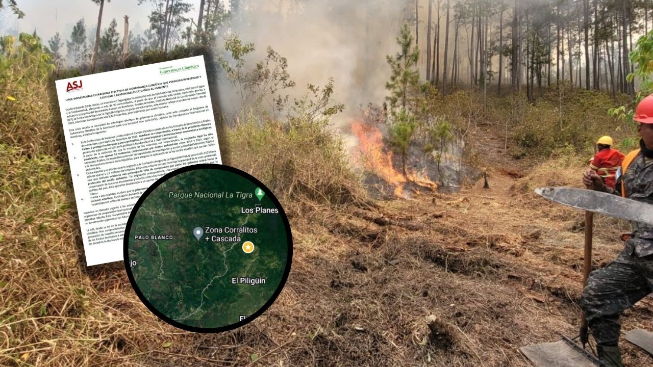 ASJ insta a investigar y castigar a responsables de provocar incendios forestales