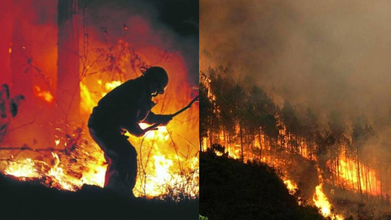 ¡Honduras envuelto en llamas! Hasta 30 puntos de incendios forestales registrados en Semana Santa