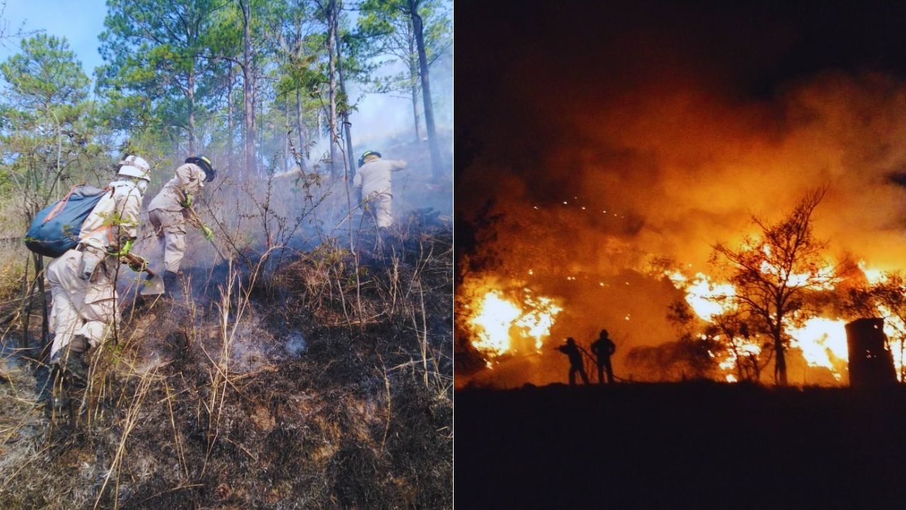 En 25% aumentaron incendios en zacateras en la capital, según Bomberos