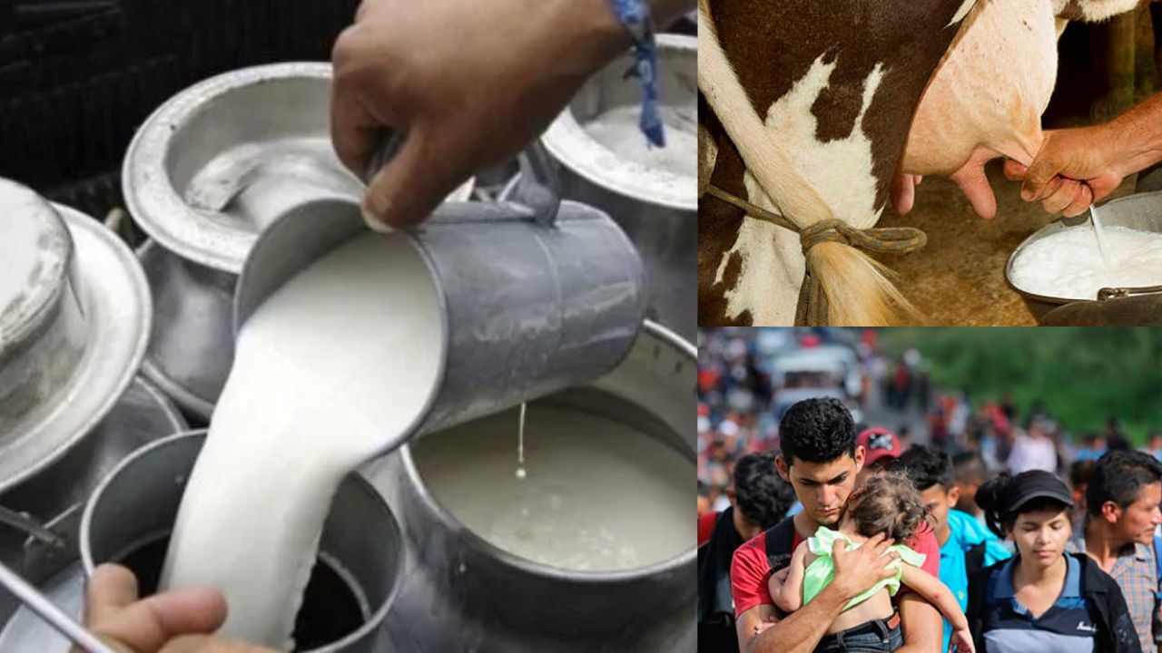 Precio del litro de leche subirá debido a escasez de mano de obra y costos operativos