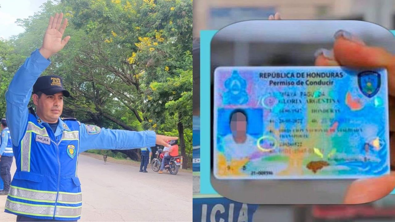¿Perdiste tu licencia de conducir? Sigue estos pasos para renovarla