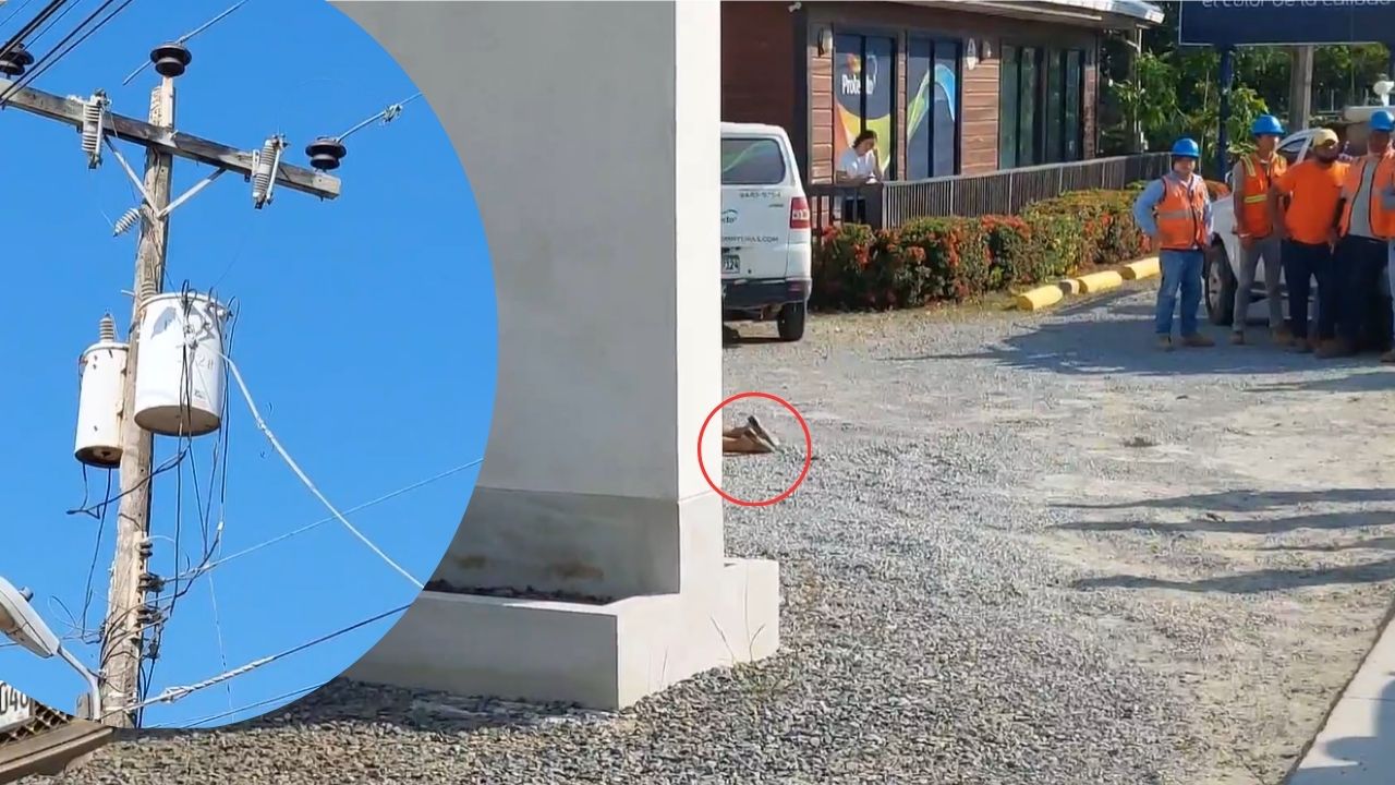 Mujer muere electrocutada en Roatán; iba caminando cuando le cayó un cable de alta tensión