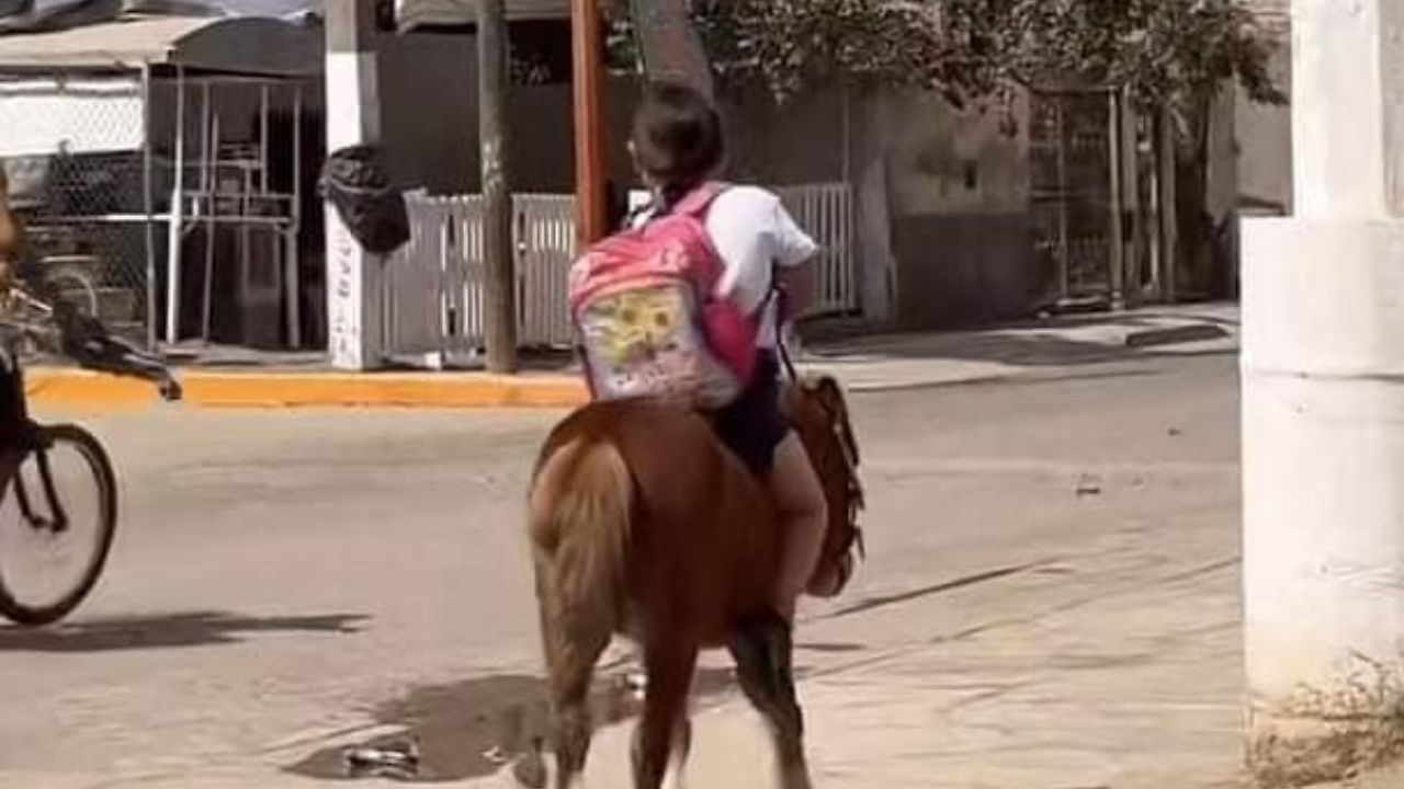 ¡Enternecedor! Niña va a la escuela montada en su pony