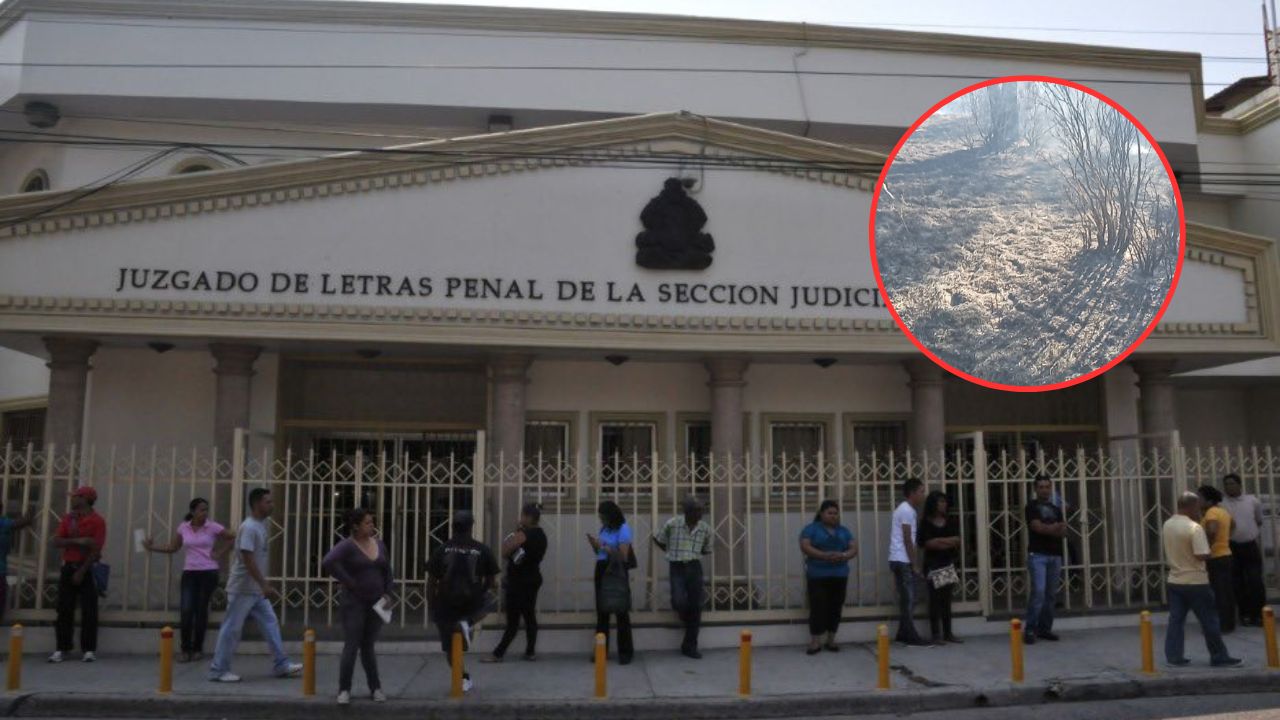 Prisión preventiva a hombre que habría causado un incendio forestal en Ojojona, FM