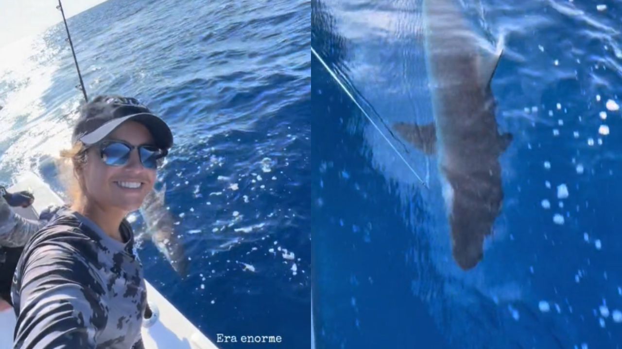 VIDEO: Hondureña comparte su experiencia al hallar un tiburón en Útila