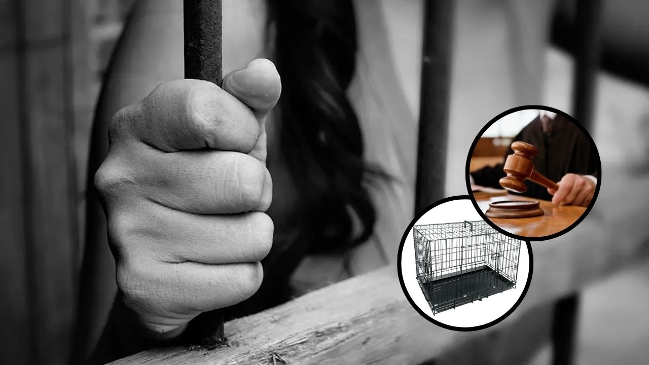 Condenan a 20 años de cárcel a madre austríaca por torturar a su hijo en jaula para perros