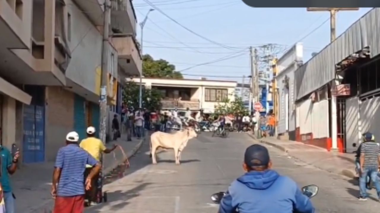 Video: locatarios de un mercado reaccionaron asustados por la presencia de una vaca
