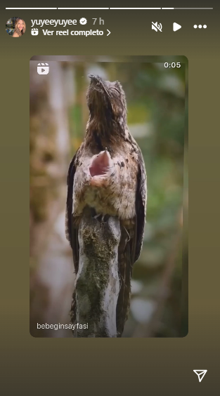 Últimas historias de Yuyee Alissa Intusmith. Foto: redes sociales