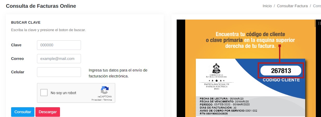 Último pasa para consultar factura de la ENEE en línea. Foto: TuNota