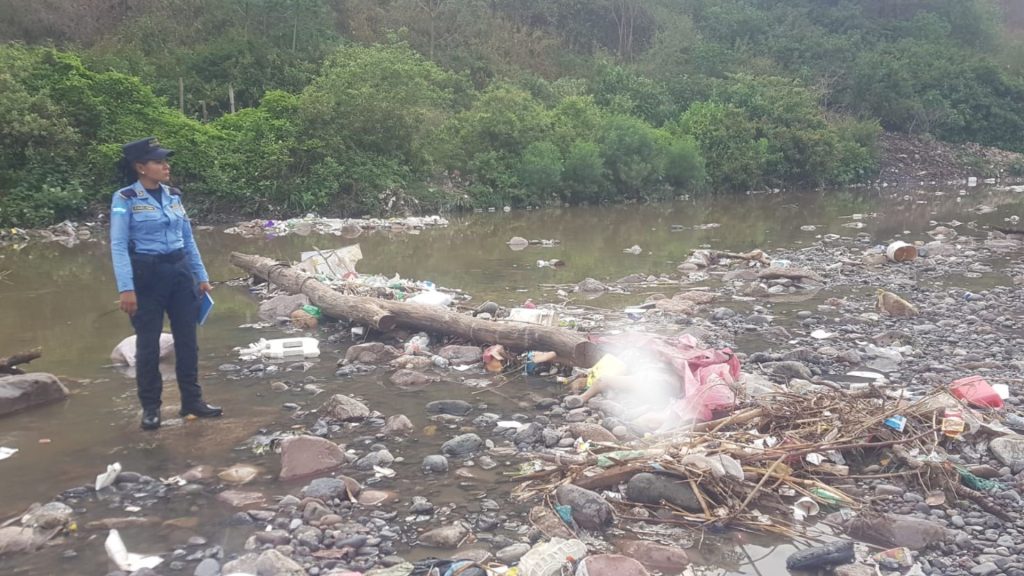 Imagen de cuerpo de nota