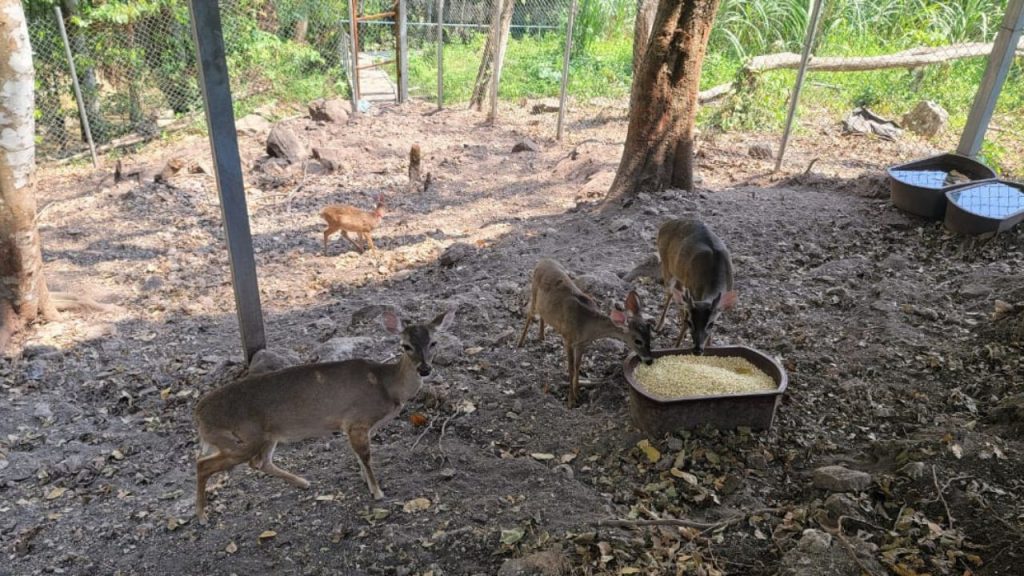 Imagen de cuerpo de nota