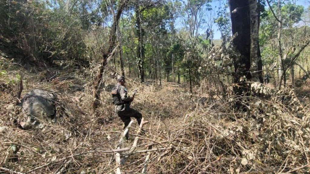 Imagen de cuerpo de nota