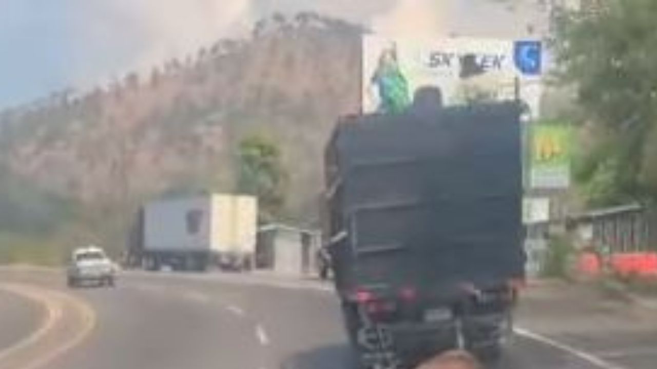 Piden cárcel para conductor de camión que llevaba amarrado y arrastrado a un caballo en CA-5
