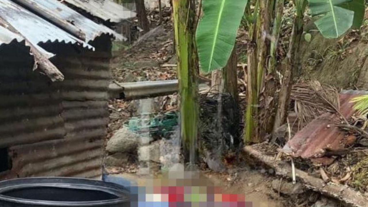 Hasta el solar de su casa llegan a matar a anciano hondureño de 85 años
