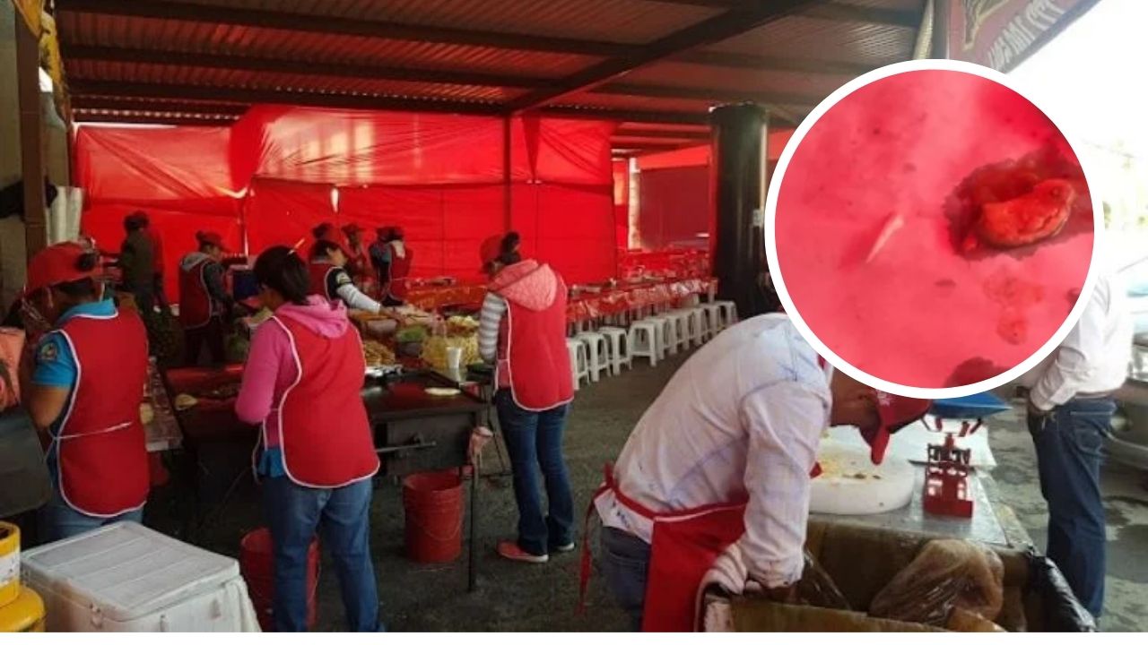 Hombre halla colmillo en plato de tacos mexicanos en un restaurante