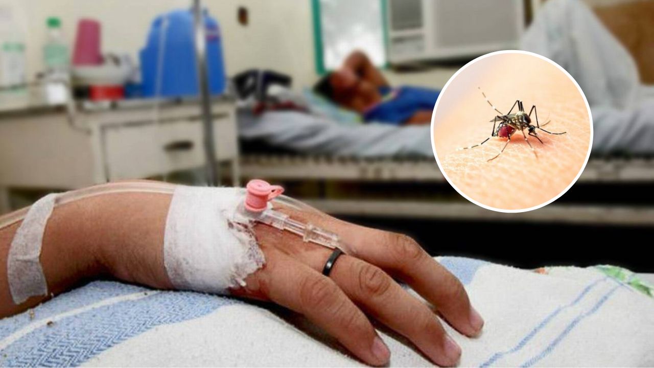 Honduras registra 9,146 casos sospechosos de dengue; todavía no se cumplen requisitos para declarar emergencia: Sesal