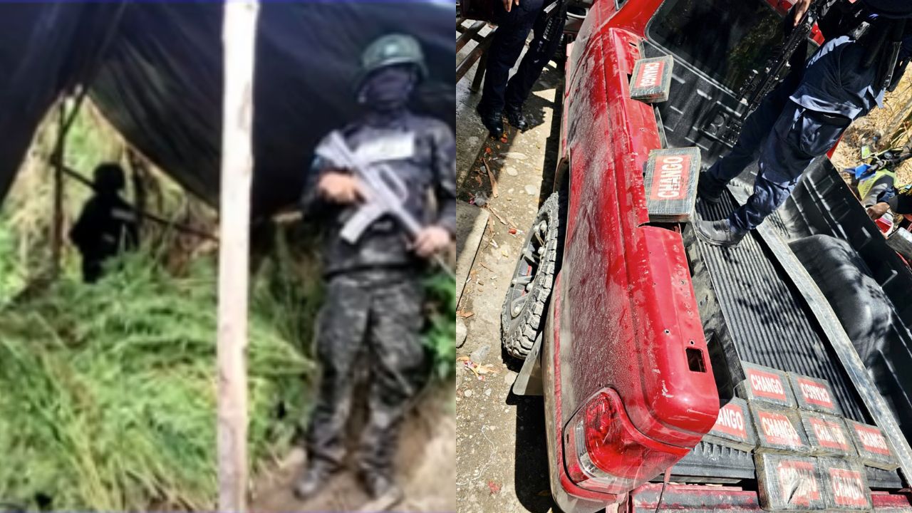 Aseguran 16,000 plantas de marihuana en Tocoa y decomisan 80 kilos de cocaína en Copán