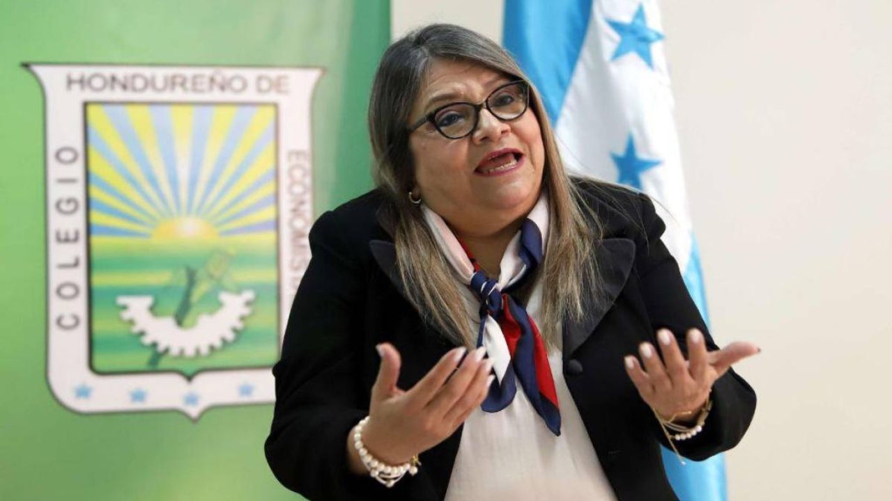 Colegio de economista llama a generar confianza y credibilidad para mantener el flujo de divisas