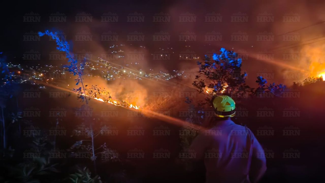 Un incendio forestal consume refugio silvestre en aldea Suyapa, de Tegucigalpa