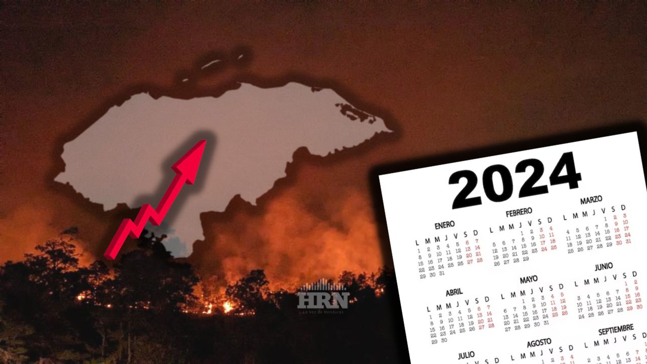 Casi 65,000 hectáreas de bosque han sido afectadas por incendios en 2024: ICF