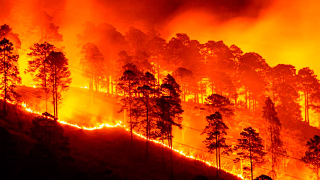 Honduras registra casi 1,700 incendios forestales en lo que va de 2024