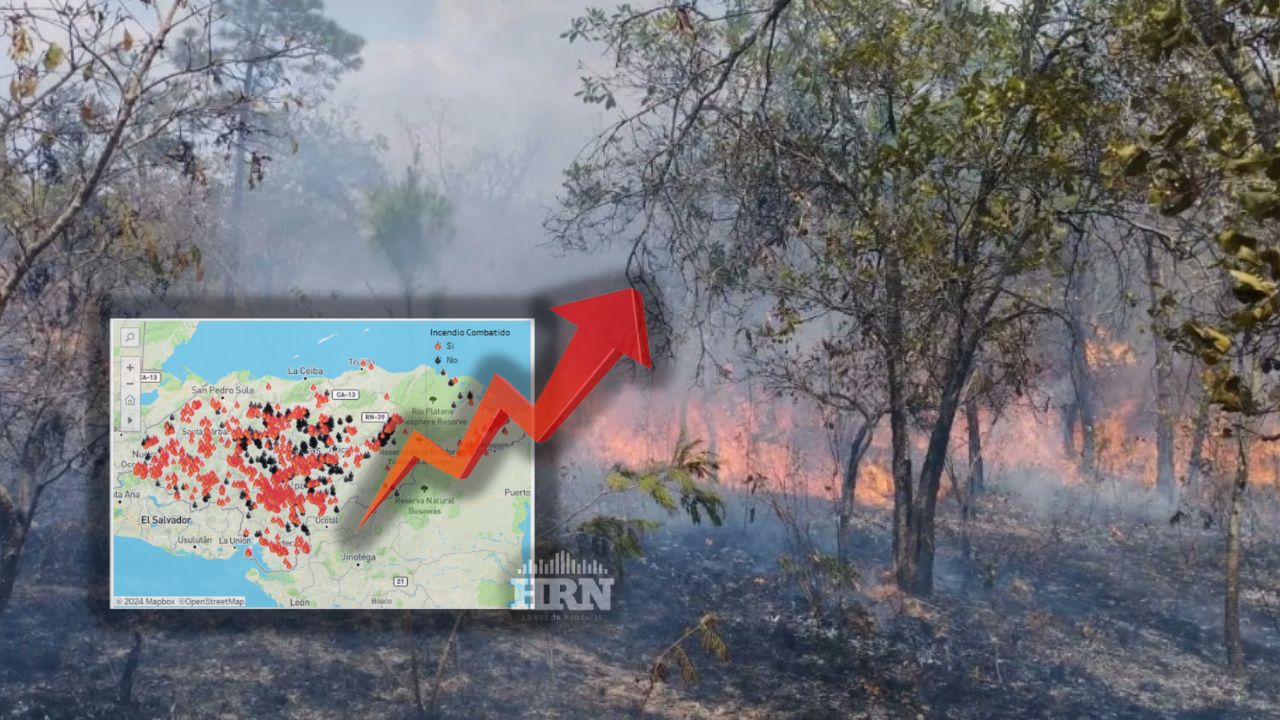 Incendios forestales ya superan las 109,000 hectáreas afectadas en Honduras