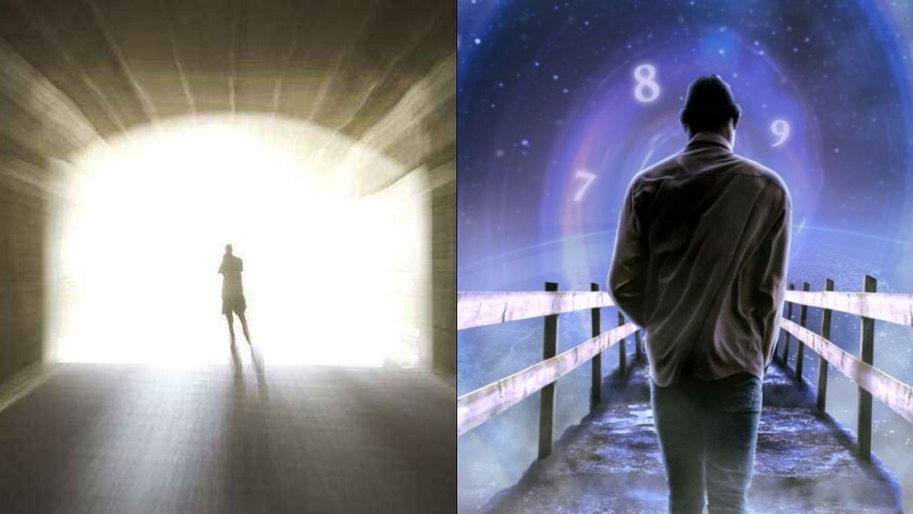 La teoría de las 9 vidas, ¿cómo saber en qué vida estás?