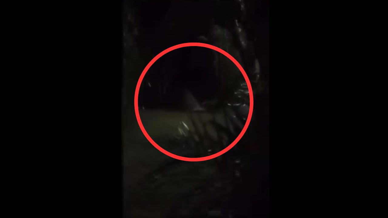 Graban a La Llorona en Comayagua, los perros aullaron  ante su presencia