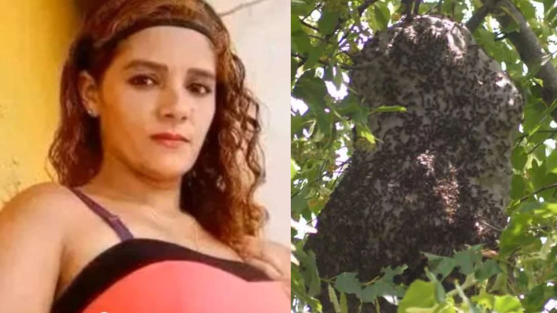 Copaneca muere tras caer en abismo y ser picada por abejas