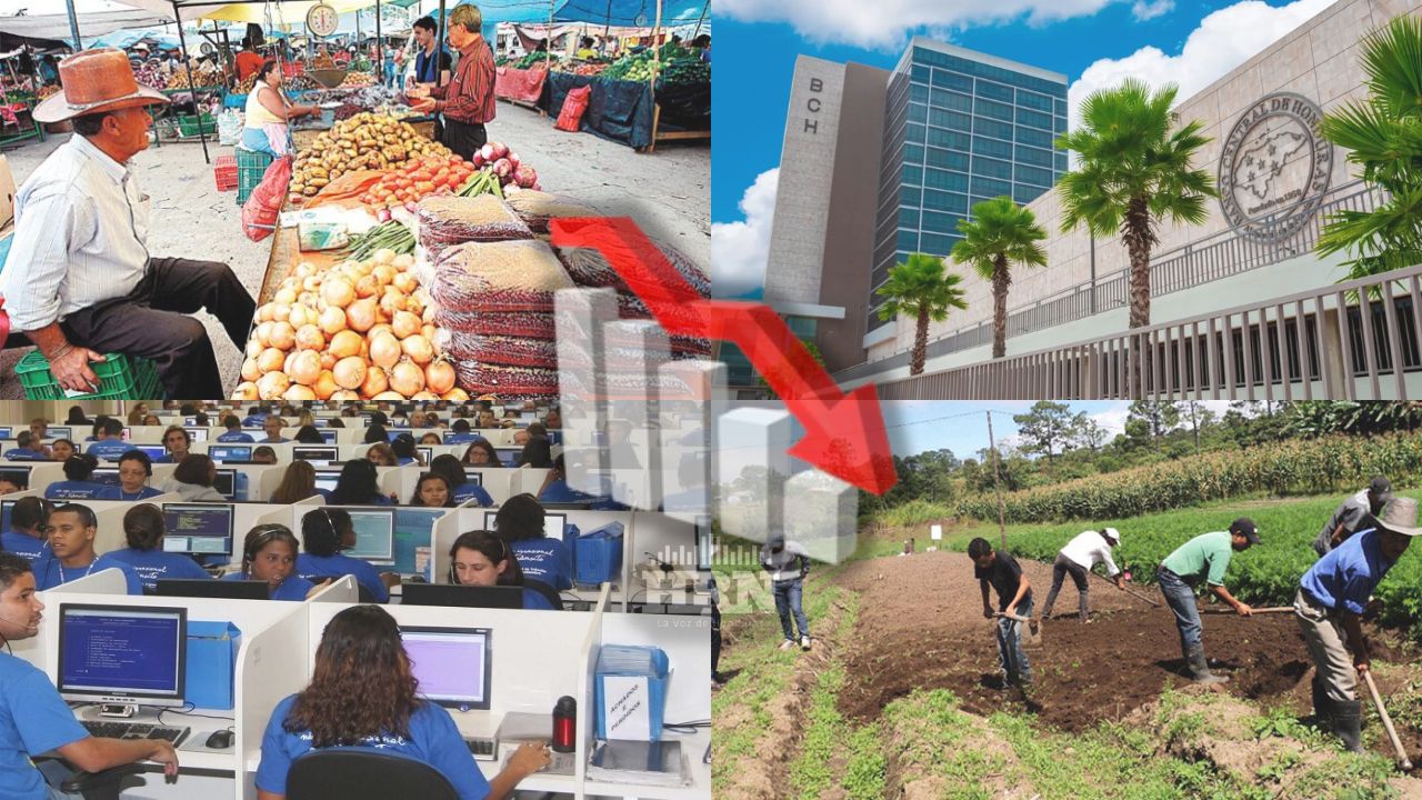 Actividad económica de Honduras bajó a 4% desde septiembre de 2023: Cohep