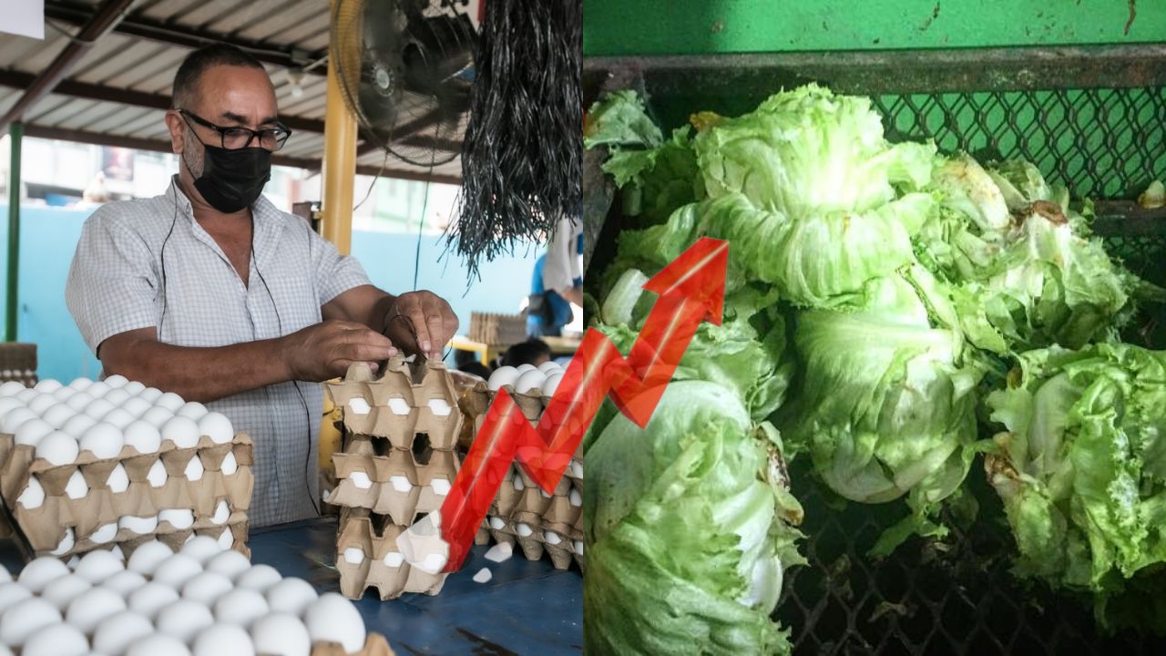 Hasta L 15 aumenta precio de la lechuga en mercados capitalinos